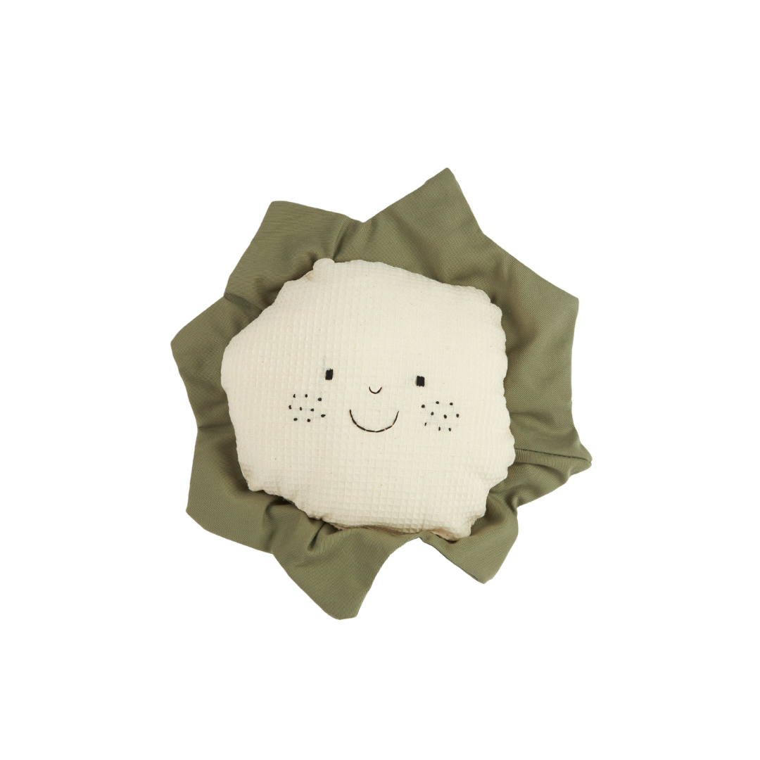 Organic Cauliflower Pillow