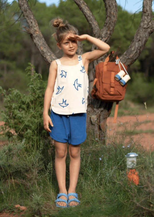 Blue Terry Shorts