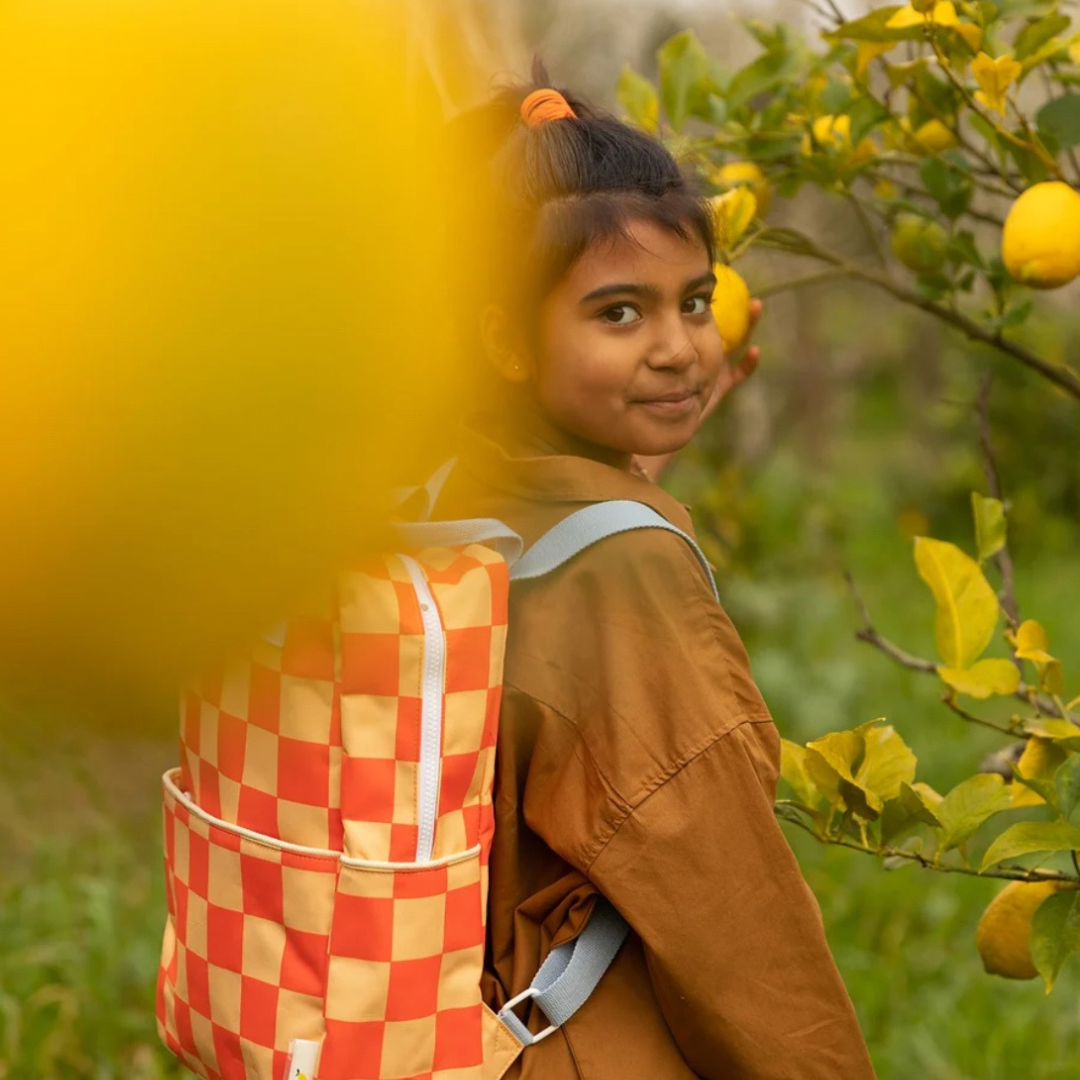 Large Recycled Bottle Backpack