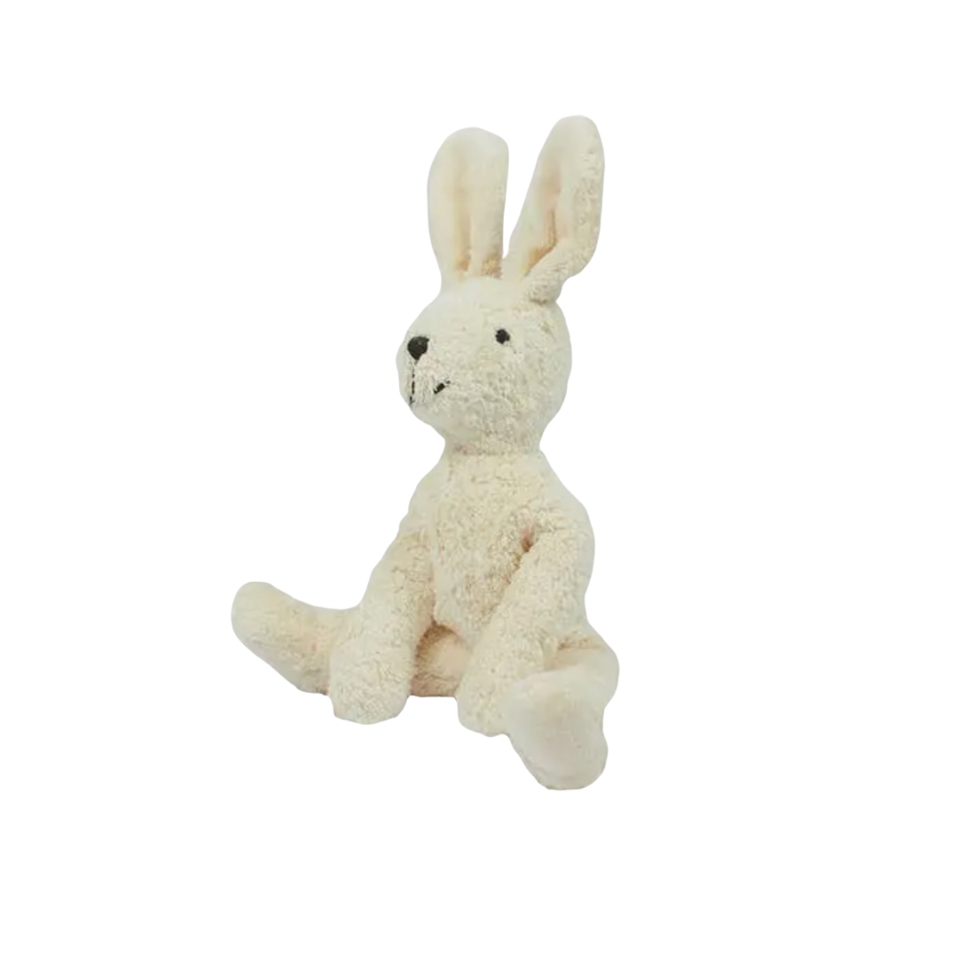 Floppy Small Rabbit