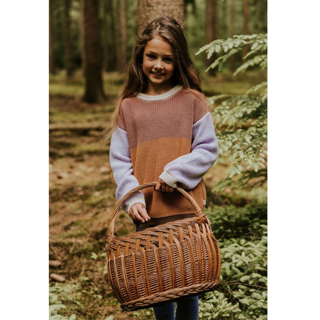 Lilac + Brown Colorblock Knit Sweater