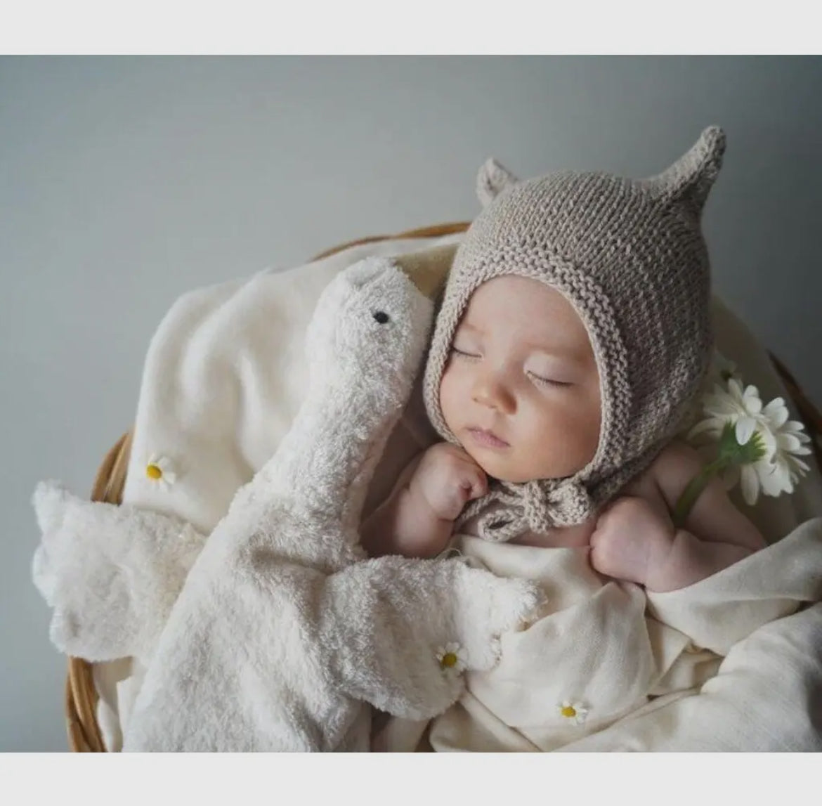 Cuddly Warming Stuffed Animals