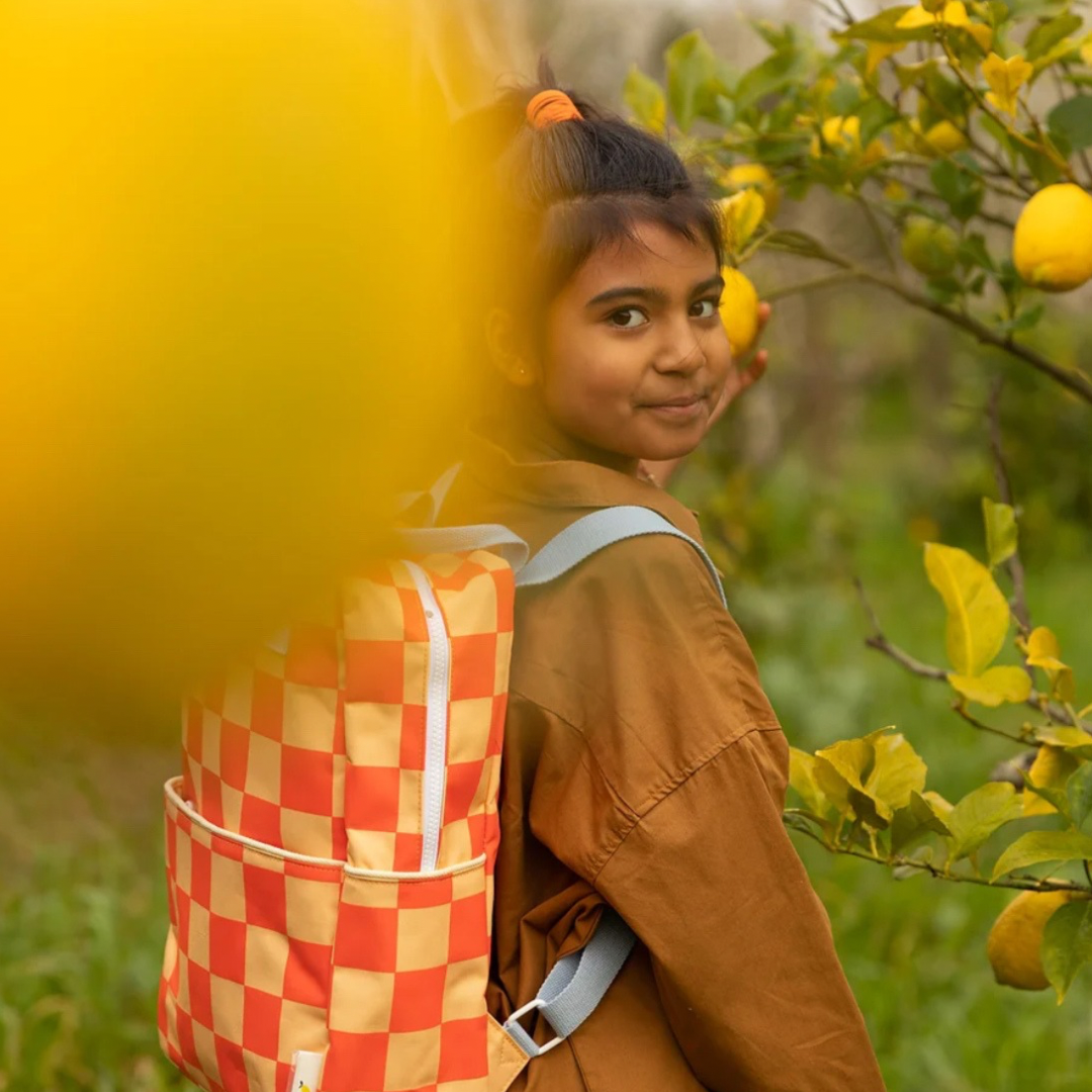 Recycled Bottle Backpacks - Large