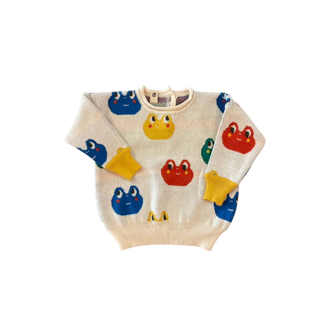 Rainbow Froggy Knit Sweater