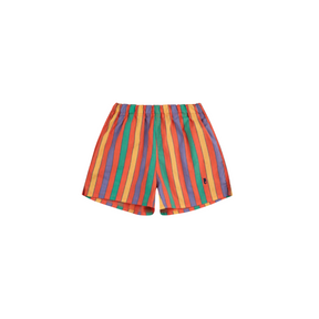 Multicolor Striped Shorts