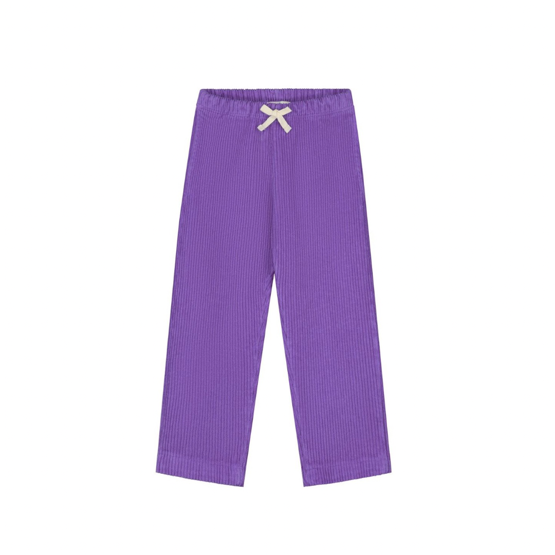 Amethyst Purple Corduroy Pants