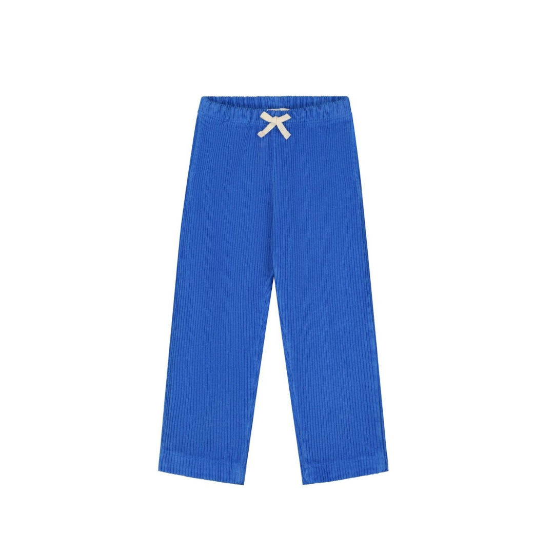 Cobalt Blue Corduroy Pants