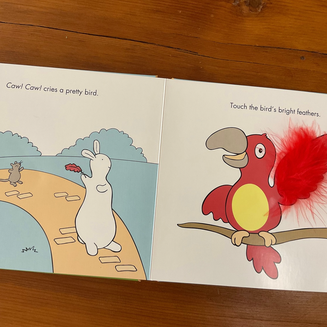 Pat the Zoo Touch & Feel Book