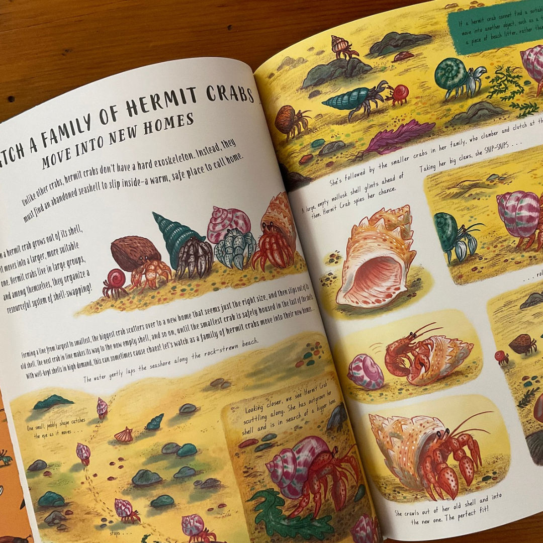 Slow Down and Be Here Now