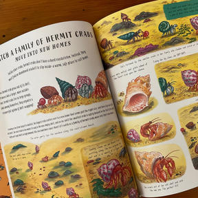 Slow Down and Be Here Now