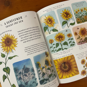 Slow Down: 50 Mindful Moments in Nature