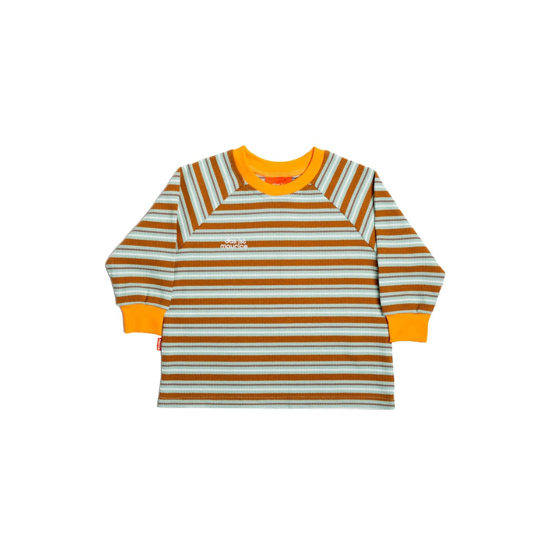 Striped Raglan Long Sleeve T-Shirt