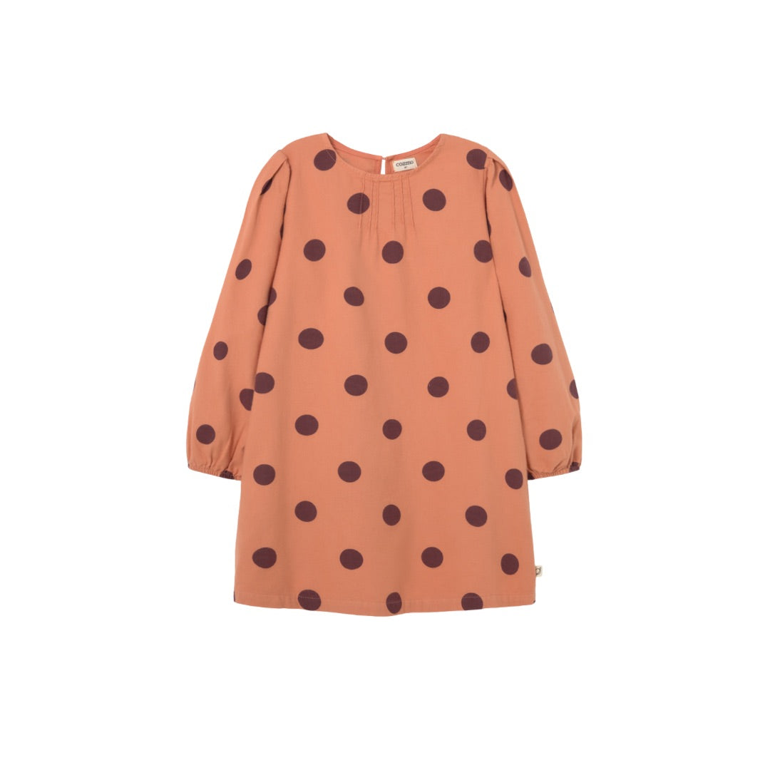 Polka Dot Flannel Dress
