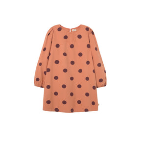 Polka Dot Flannel Dress